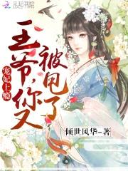 宠妃上瘾：王爷，你又被甩了封面