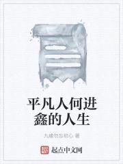 平凡人何进鑫的人生封面