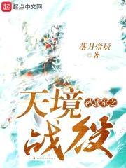 神域1之天境战役封面