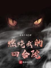 燃烧我的四合院封面