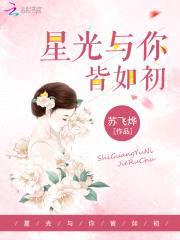 星光与你皆如初封面