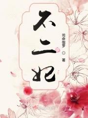 不二妃封面