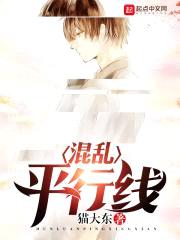 混乱平行线封面