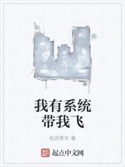 我有系统带我飞封面