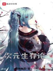 次元生存论封面
