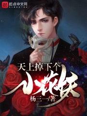 天上掉下个小花妖封面