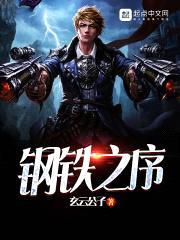 钢铁之序封面