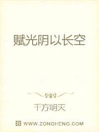 赋光阴以长空封面