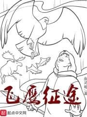 飞鹰征途封面