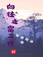 向往之富二代封面