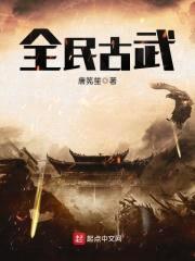 全民古武封面