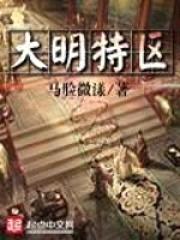 大明特区封面