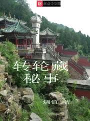 转轮藏秘事封面