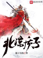 北凉质子封面