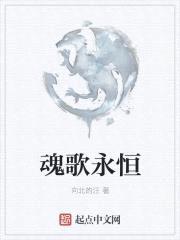魂歌永恒封面