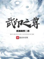 武印之尊封面