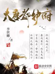 大唐都护府封面