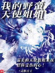 我的野蛮天使jiejie封面