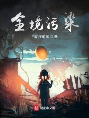全境污染封面