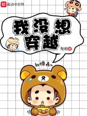 我没想穿越封面