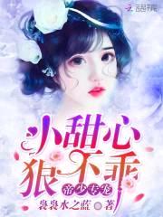 帝少专宠：小甜心，狠不乖！封面