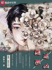 谜梦追凶封面