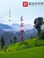 主宰岁月封面