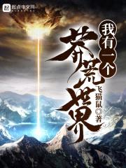 我有一个莽荒世界封面