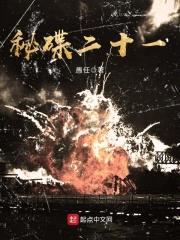 秘碟二十一封面