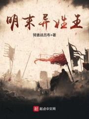 明末异姓王封面