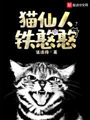 猫仙人铁憨憨封面