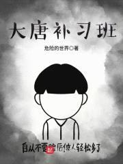 大唐补习班封面