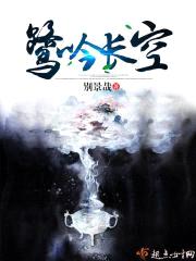 鹭吟长空封面