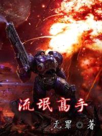流氓高手封面