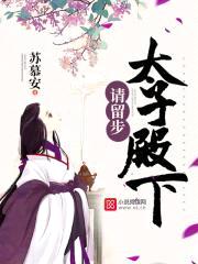 太子殿下，请留步封面