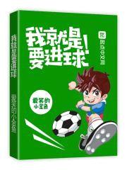 我就是要进球封面