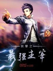 妖孽之最强主宰封面