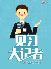 见习的记者封面
