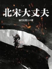 北宋大丈夫封面