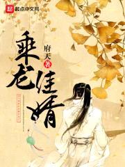 乘龙佳婿封面