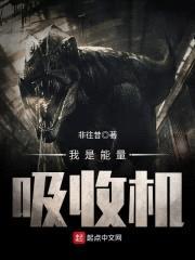 我是能量吸收机封面
