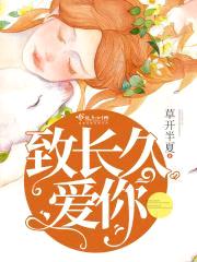 致长久爱你封面