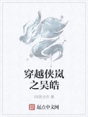 穿越侠岚之吴皓封面