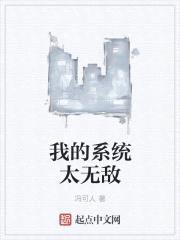 我的系统太无敌封面