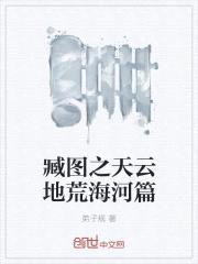 臧图之天云地荒海河篇封面