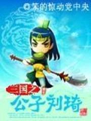 三国之公子刘琦封面
