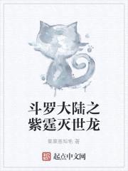 斗罗大陆之紫电灭世龙封面