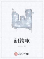 纽约咳封面