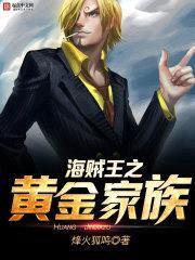 海贼王之黄金家族封面
