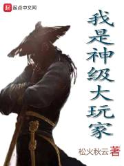 我是神级大玩家封面